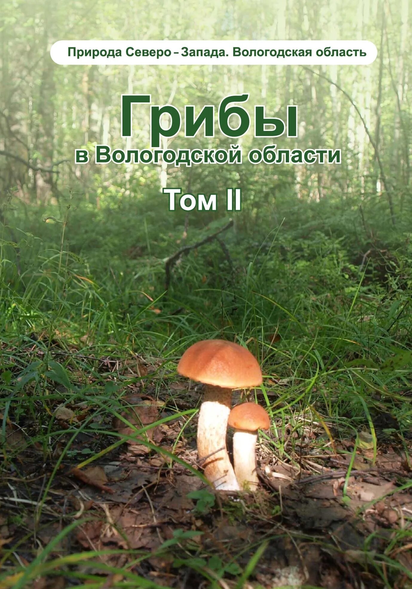 Книга про грибы. Грибы Вологодской области. Грибы Вологодчины. Краснокнижные грибы Вологодской области.