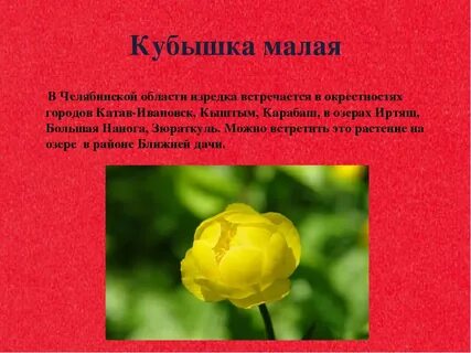 Сообщение малая