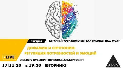 Мозг нейрофизиология счастья