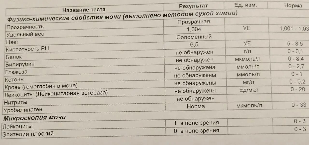 Анализ мочи у мужчин лейкоциты