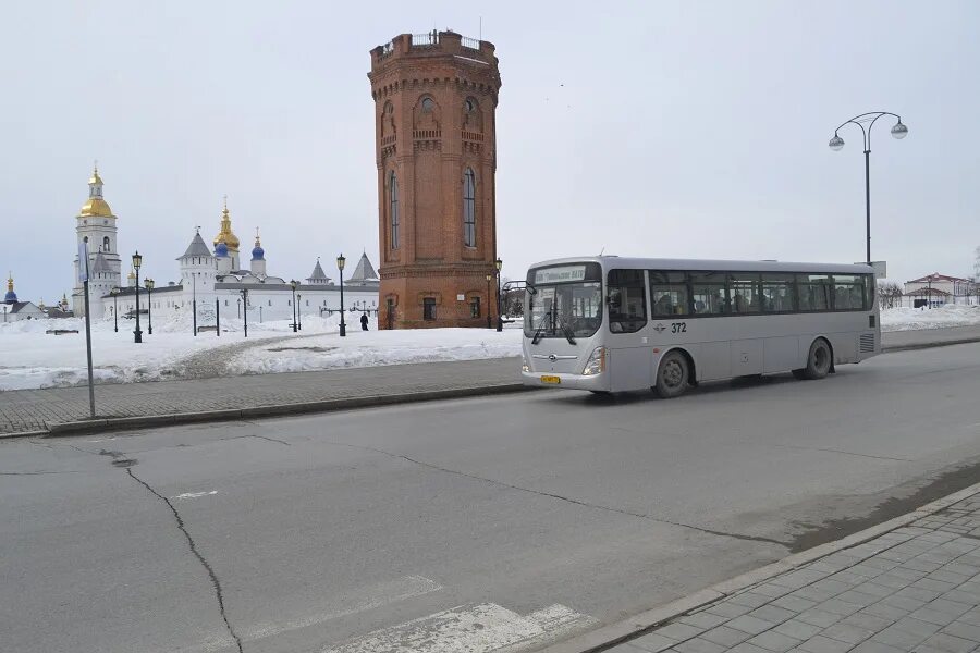 тпатп тобольск. электронный проездной билет. тобольское патп. автобусы тобольского патп. патп тобольск логотип.