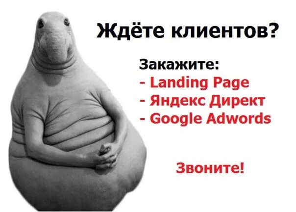 Дай рекламу. Ждем покупателей. Ждем клиентов. Жду рекламы в группе. Теория очередей.