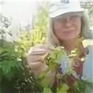 Севастополь хрусталева 165