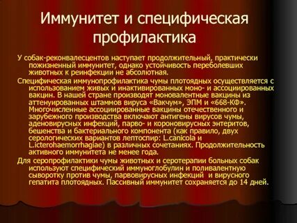 Профилактика чумы