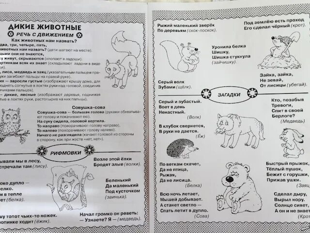 Речь животных. Координация речи с движением дикие животные. речь с движением по теме дикие животные. координация речи с движением домашние животные. книга с темами дикие животные речь с движением.
