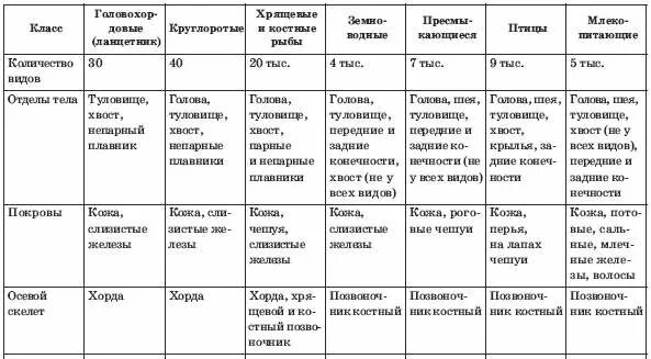 Характеристика типов классов животных. Таблица Тип Хордовые 7 класс биология. Таблица по биологии 7 класс классы типа Хордовые. Таблица отряд представители по биологии 7 класс Хордовые. Таблица по биологии 7 класс сравнительная характеристика хордовых.