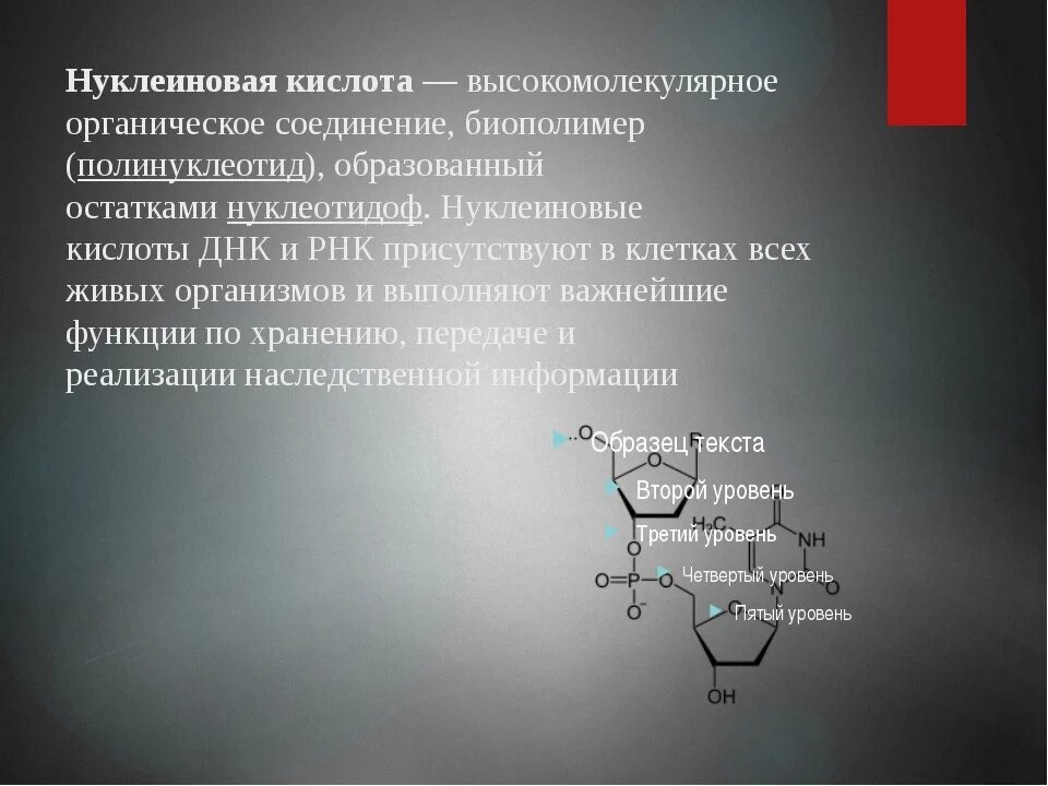 Органические вещества нуклеиновые кислоты. Функции нуклеиновых кислот в организме. Нуклеиновые кислоты это биополимеры. Роль нуклеиновых кислот.