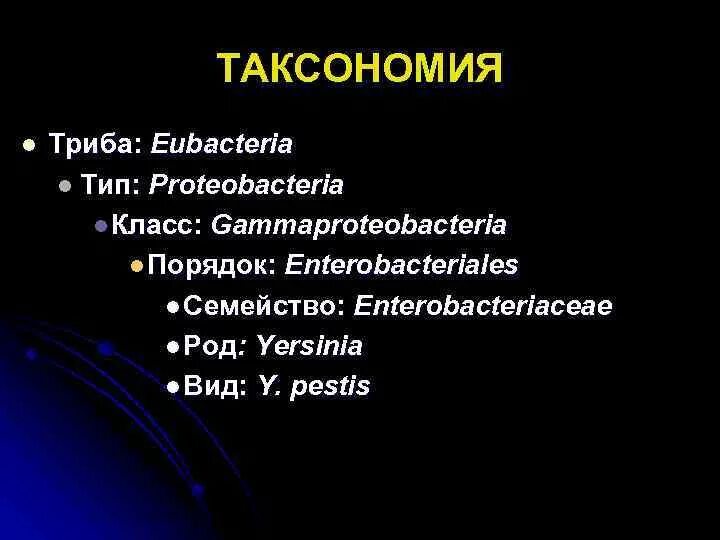 Класс порядок семейство Enterobacteriaceae. Семейство Enterobacteriaceae таксономия. Таксономия энтеробактерий (Тип, класс, порядок, семейство):. Энтеробактерии таксономия.