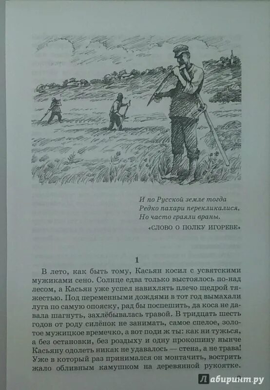 Усвятские шлемоносцы краткое содержание. Усвятские шлемоносцы иллюстрации. Усвятские шлемоносцы книга. Усвятские шлемоносцы рисунок.