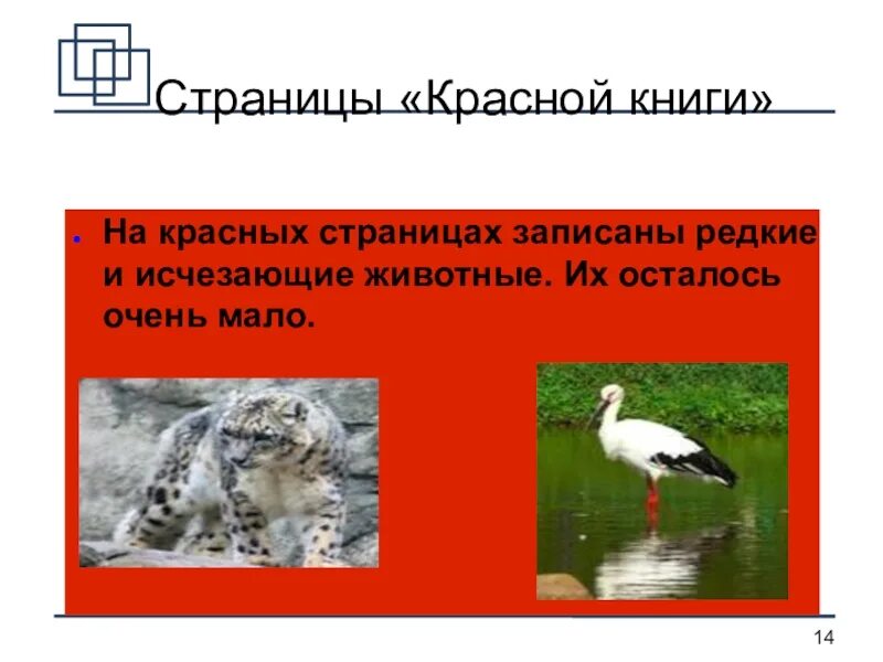 Раскрасить страницы красной книги. Животные из красной книги. страницы красной книги животные. красные страницы красной книги. красные страницы красной книги животные.