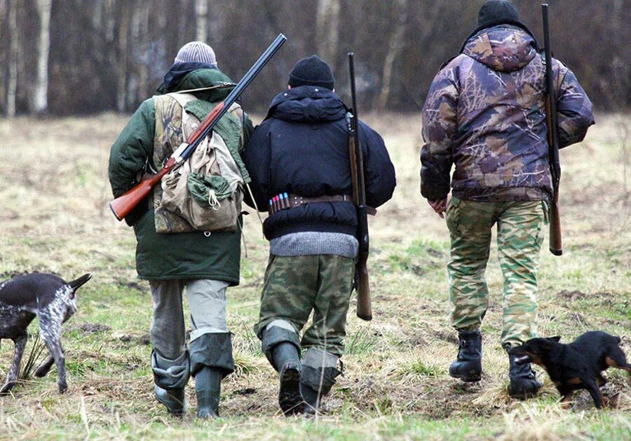 Ограничения охоты. Ограничения охоты