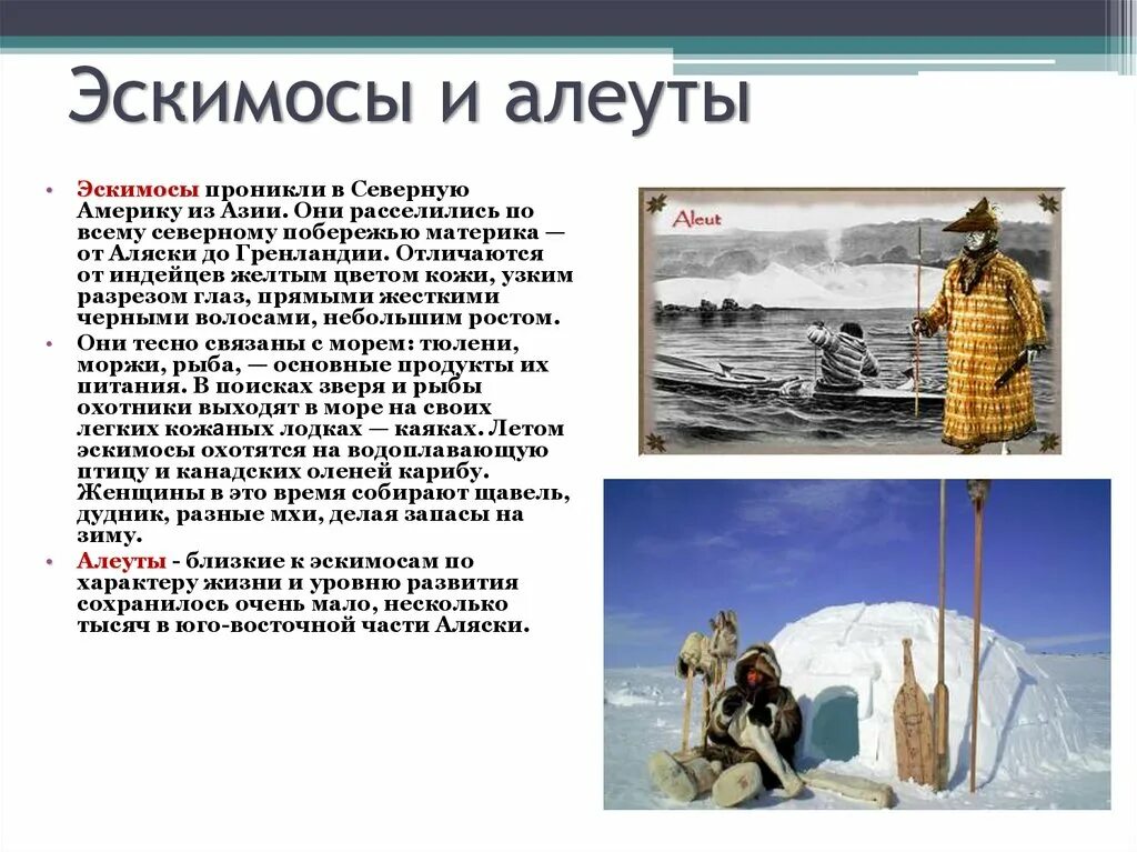 Народы Северной Америки алеуты. Алеуты коренное население Северной Америки. Эскимосы и алеуты. Коренное население севера Северной Америки. Коренное население северной америки эскимосы и индейцы