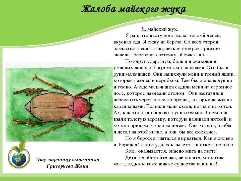 Майский жук какое превращение. Майский жук. информация о майском жуке. майский жук описание насекомого. рассказ о майском жуке.