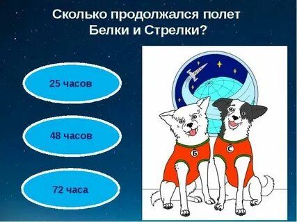 Сколько длится проект большие девочки
