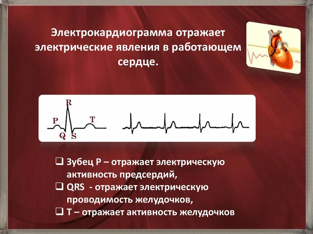 Электрические явления в сердце. Что отражает ЭКГ. Электрокардиограмма сердца отражает электрическую активность. Электрический ЭКГ.