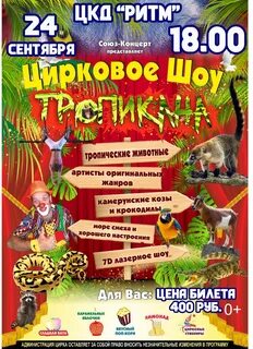 Программа цирка в тюмени