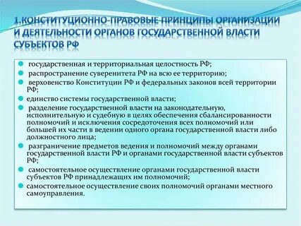 Чрезвычайные и конституционные органы власти