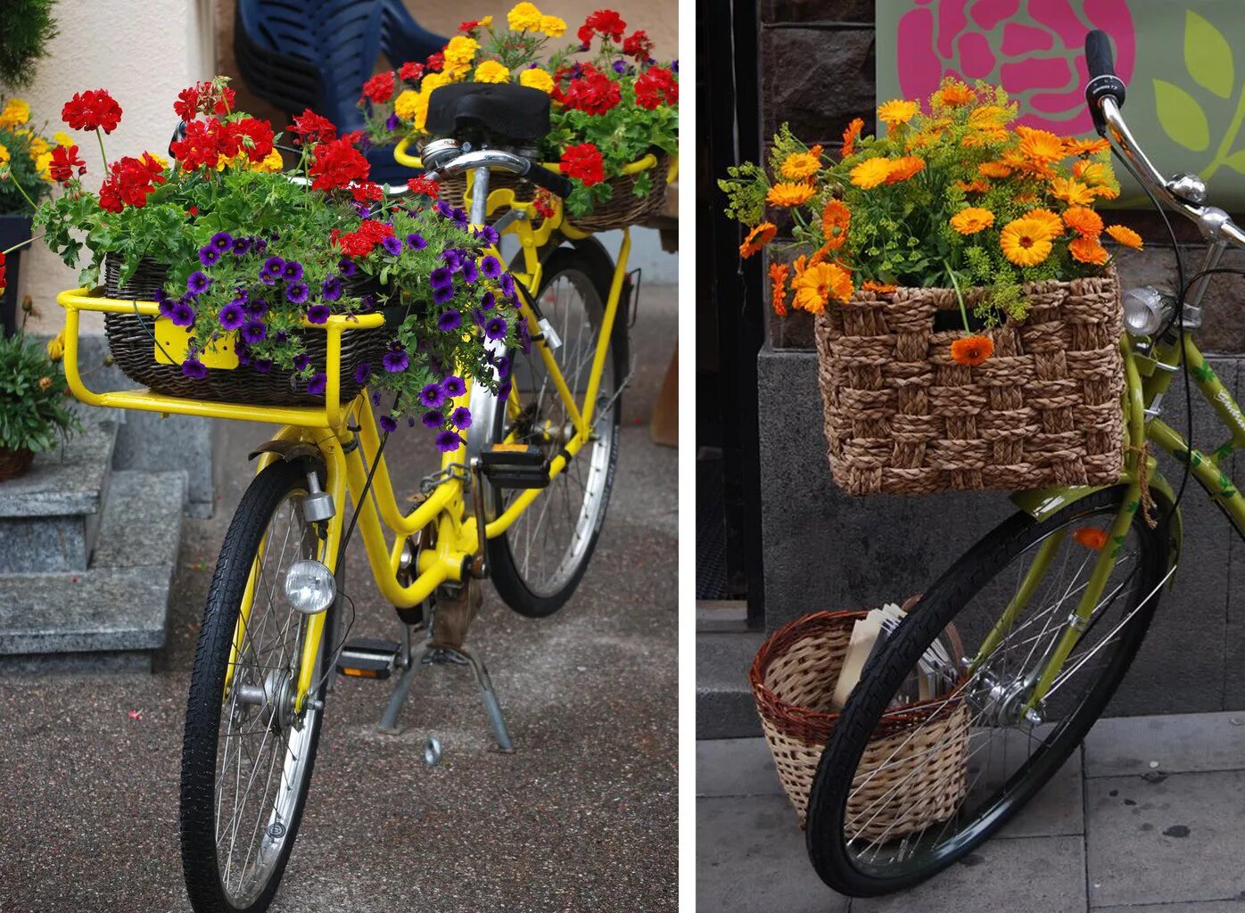 старый велосипед. дачные идеи своими руками. перекрашенные старые вещи велосипед. велосипед с цветами декор своими руками. из старого велосипеда сделать.