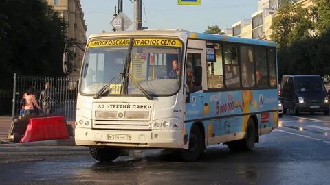 Автобус 81 спб