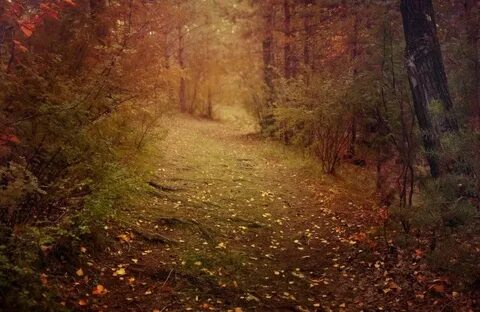 Call fall