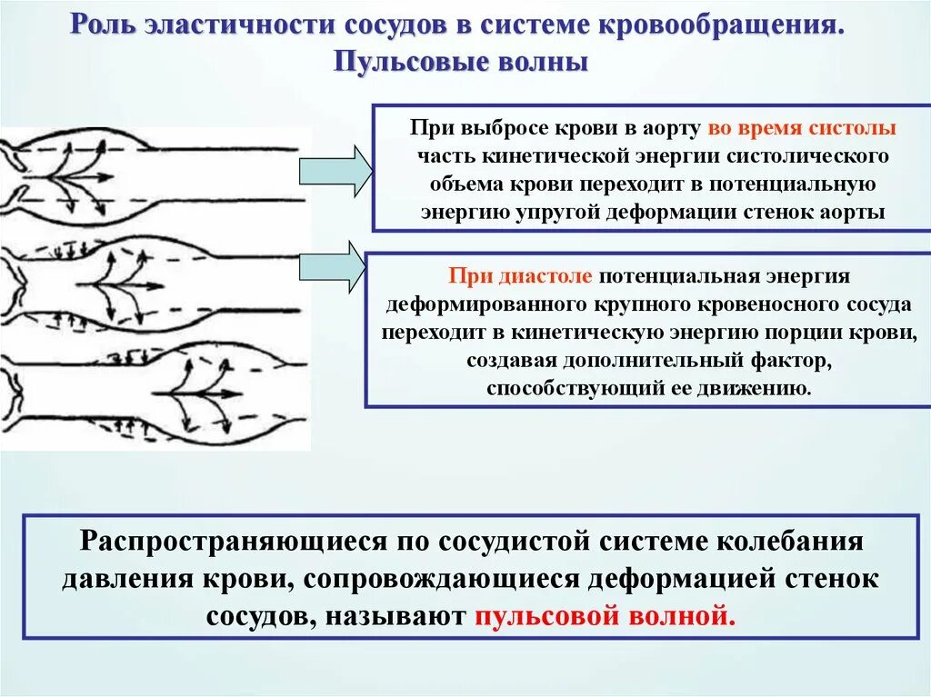 Эластичные данные это