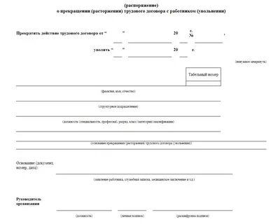 Трудовой договор приказ