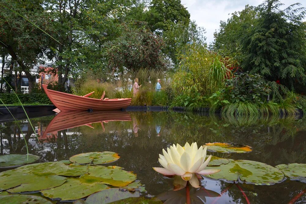 выставка сад ландшафт. выставка сад ландшафт. выставочные стенды с растениями. найджел даннет ландшафтный дизайнер. ландшафтная выставка сады и люди.