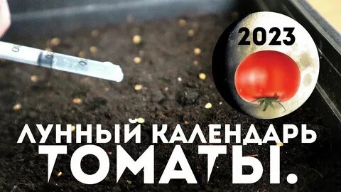Сеял 2023