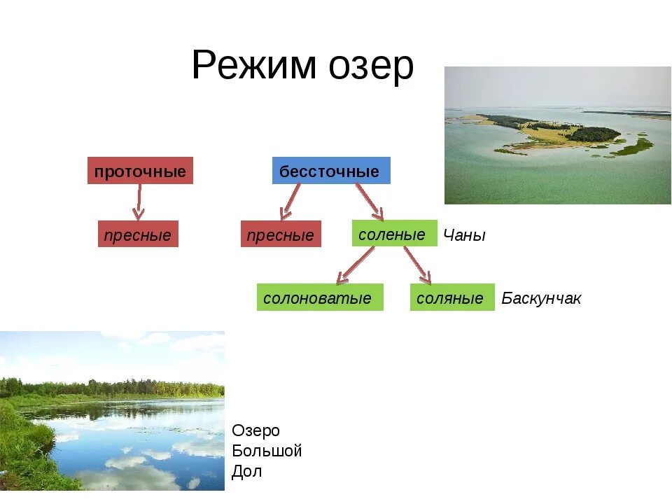 Водные режимы озер. Типы озер по режиму. Клетка саморегулирующаяся система. Особенности водного режима северного кавказа. Предмет изучения гидрологии.
