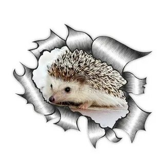 Стикеры ежик