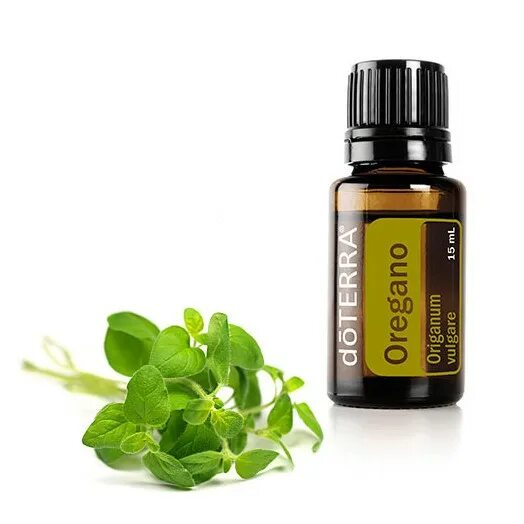 Масло орегано применение. Орегано роллер ДОТЕРРА. DOTERRA эфирное масло Oregano. Розмарин эфирное масло ДОТЕРРА. Эфирное масло орегано.