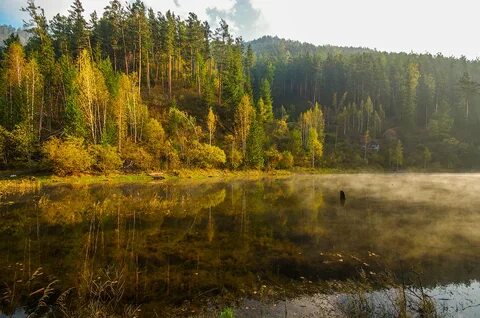 Там где речка