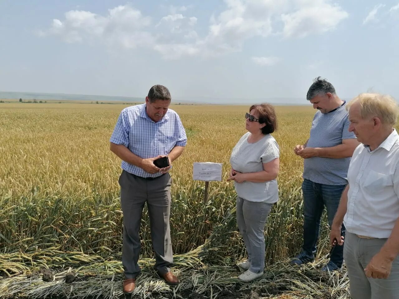 Двв-агро ооо кущевский район. Спк колхоз колос греково-тимофеевка. Морозов александр васильевич андроповский район. Схп нива агро. "крестьянское хозяйство заря" зерноград.