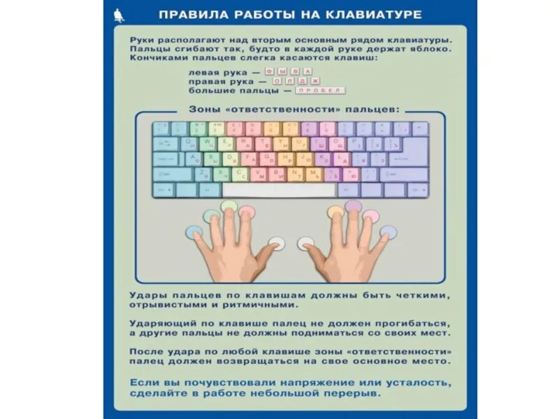 Правила работы на клавиатуре. Правильная расстановка пальцев на клавиатуре. Пальцы на клавиатуре. Правила работы на клавиатуре компьютера. 10 пальцевая печать