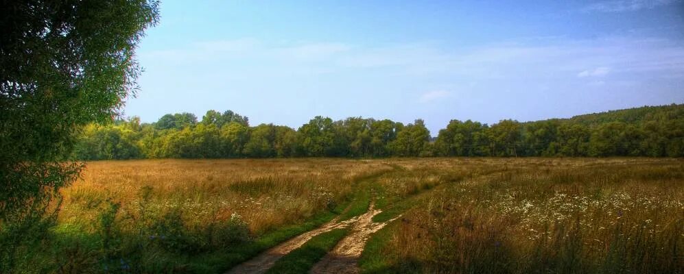 Линия орловская область. Деревня Измайлово Орловской области Новосильский район. Деревня Жердево Орловская область. Орловская область Новосильский район село Кирики. Орловская область Новосильский район село Становое.