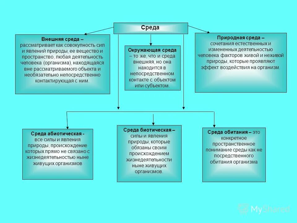 механизм возникновения приспособленности. приспособление организмов к жизни в водной среде. адаптация человека к окружающей среде. приспособления для жизни в водной среде. механизм образования приспособлений.