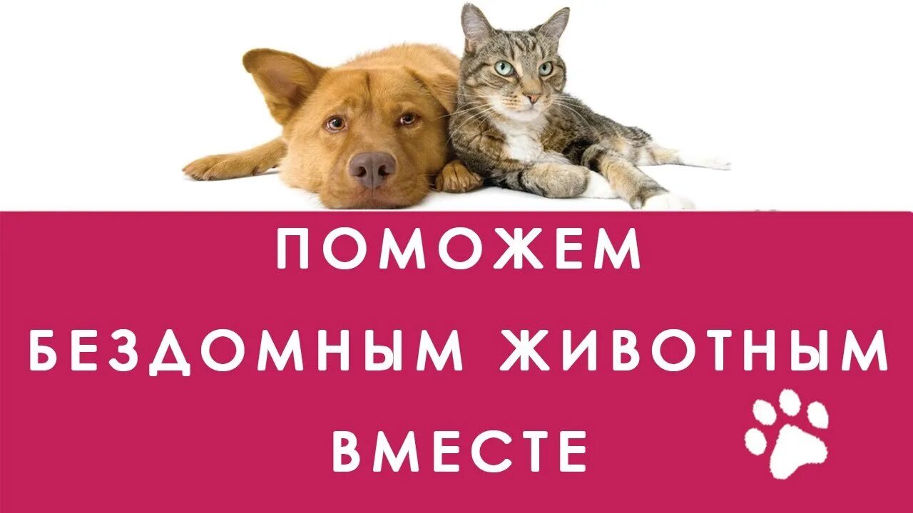 Производство Аскарова Р.Г.. Запись со стены. Volunteer, Victorious