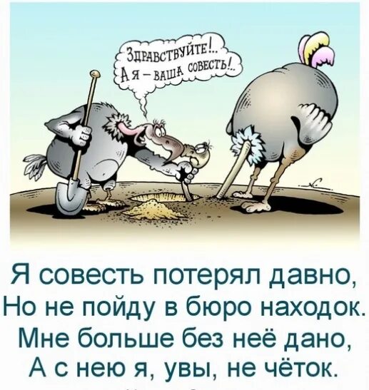 Совесть когтистый. Совесть юмор. шутки про совесть. смешные фразы про совесть. анекдот про совесть.