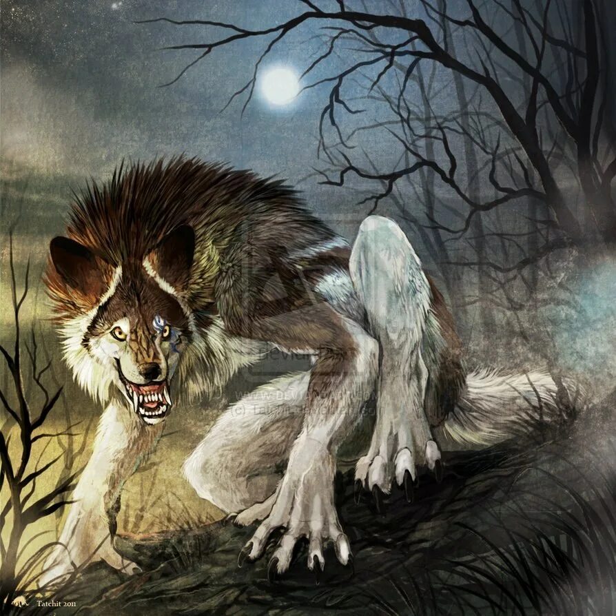 Волк оборотень мифология. Про оборотня русский. Волколак славянская мифология. Оборотни ликаны вервольфы. Оборотни.