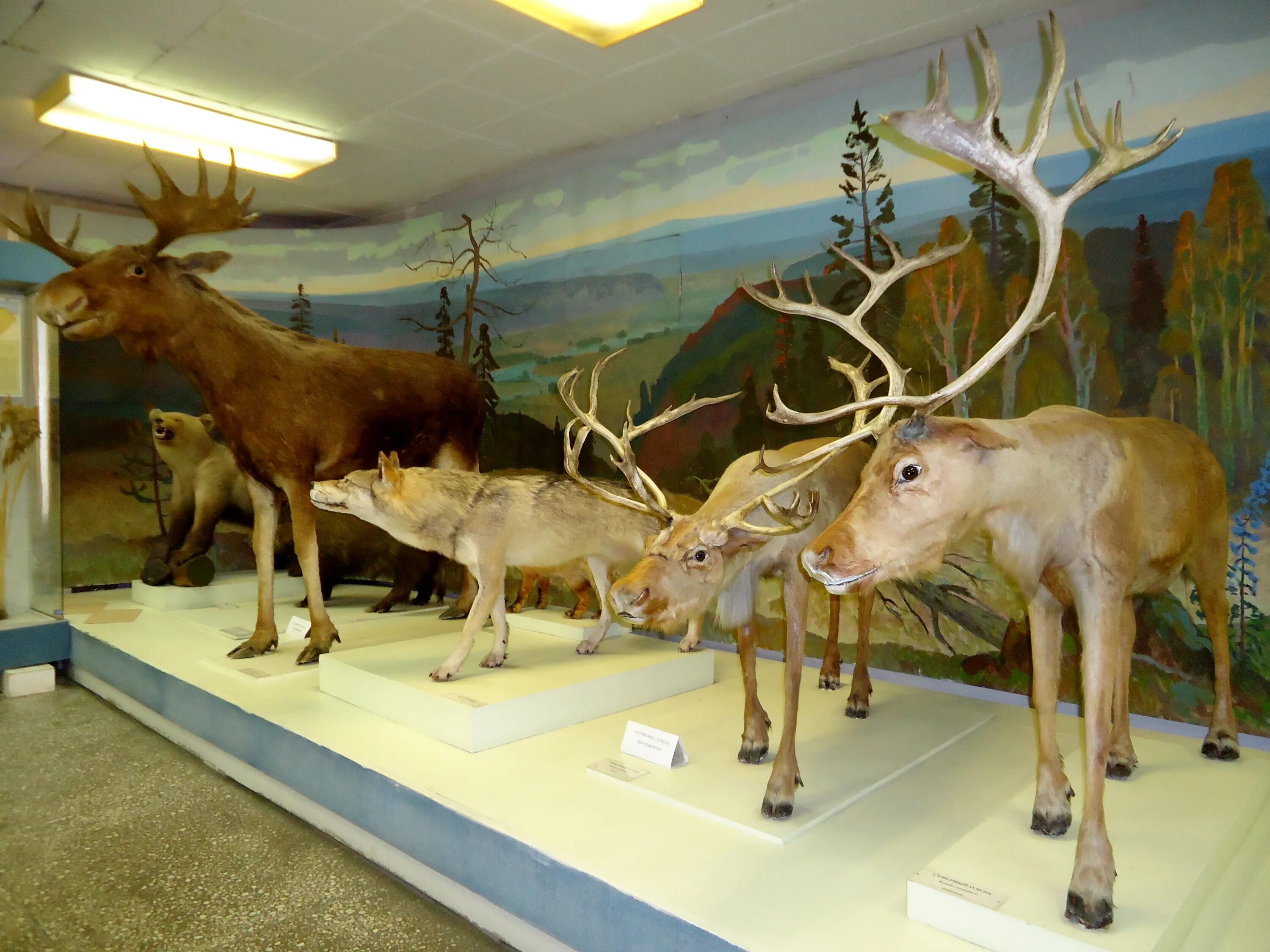 выставочный зал музей каменск-уральский. копылов художник архангельск.