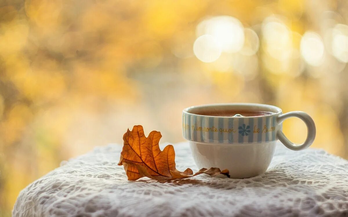 Утро осени картинки. Утро осень. Осеннее утро чай. Осень чай. Светлого осеннего утра.