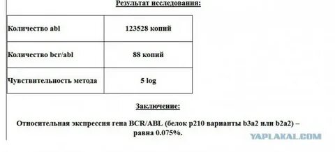 Число копий