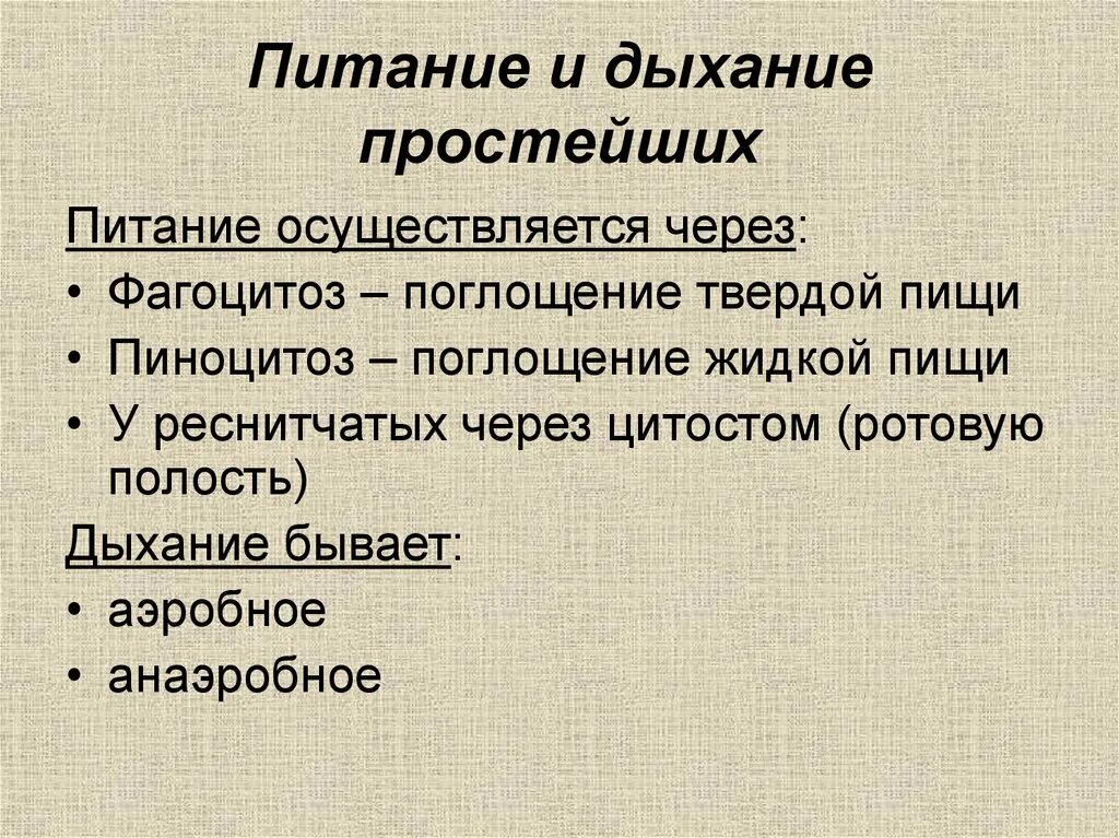 Питание дыхание. Питание простейшихших. Способы питания простейших. Типы и способы питания простейших. Питание дыхание движение