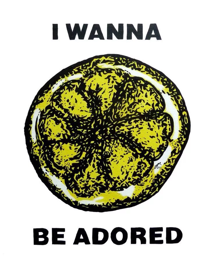 Общество память футболка. Stone roses футболка. Футболки на память о школе. The stone roses. The stone roses i wanna be adored.