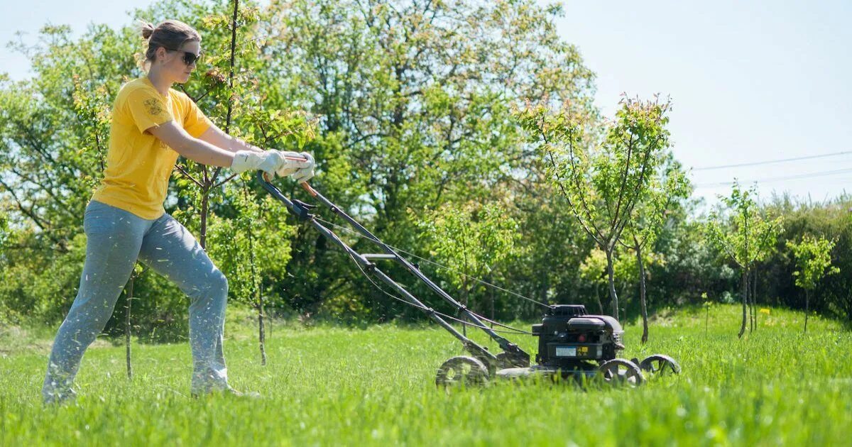 Mow and trim 31 уровень как перейти