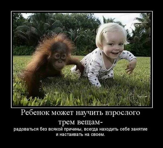 У меня не может быть детей. Приколы про воспитание детей. демотиваторы про детей. дети приколы картинки. шутки про воспитание детей.