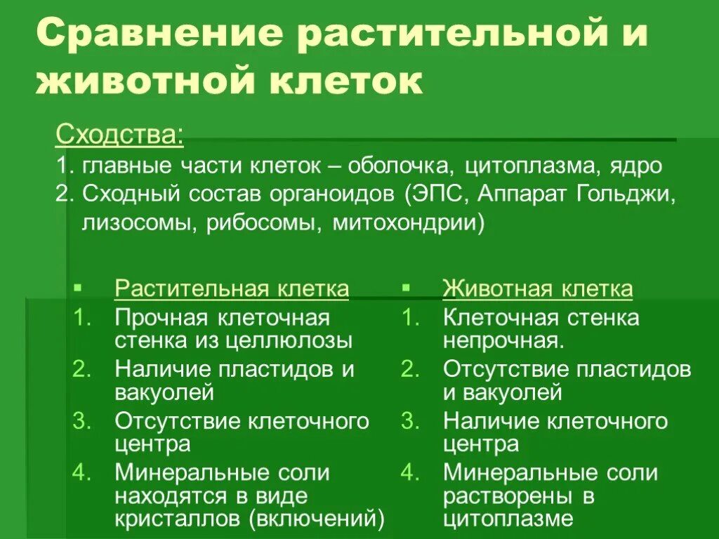 Отличительные особенности растительной. Растительная клетка животная клетка отличие сходство. Сравнение строения растительной и животной клетки. Сравнить различия строения растительной и животной клетки. Сходства и различия растительной и животной клетки.