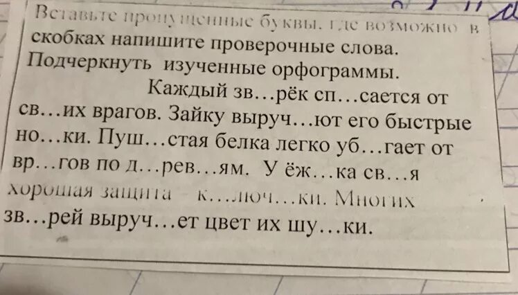 Из слов помещенных в скобках. Вставьте пропущенные буквы в скобках напишите проверочные слова. Запиши в скобках проверочные слова вставь пропущенные буквы. Вставь пропущенные буквы в скобках напиши проверочные слова. Как писать в скобках с большой или маленькой буквы.