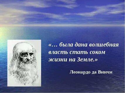 Сок жизни леонардо