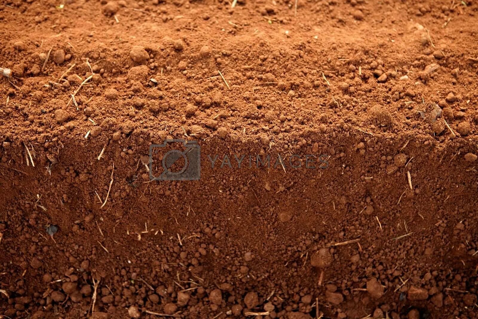 Преобладание коричневых почв. Почва коричневая. Коричнево-красные почвы. Горные коричневые почвы. Коричневые и серо коричневые почвы.